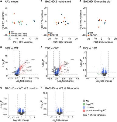 Microarray profiling of hypothalamic gene expression changes in Huntington’s disease mouse models